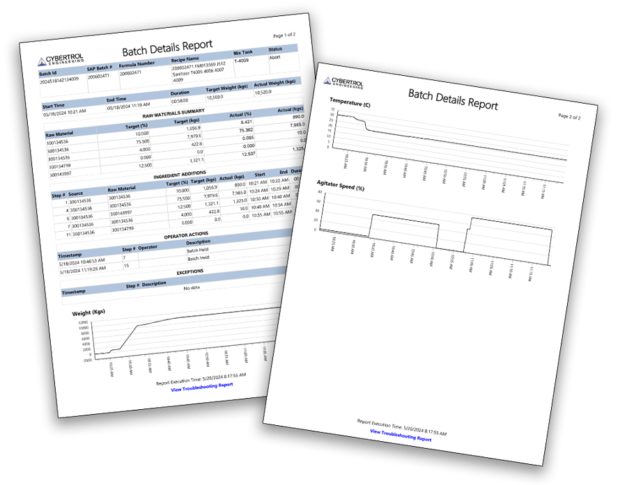 Cybertrol Batch Details Report Example