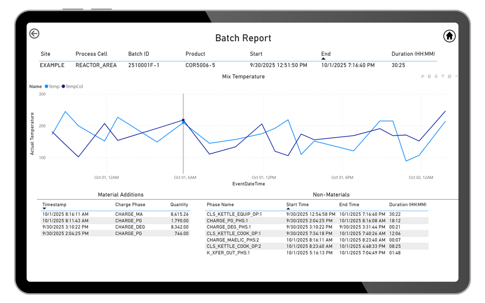 Cybertrol-Enterprise-Reporting-Example_Batch-Report-Screen