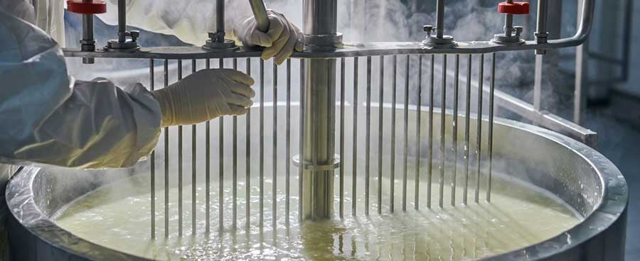 Industrial-cheese-production-process