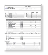 Cybertrol Batch Report Example