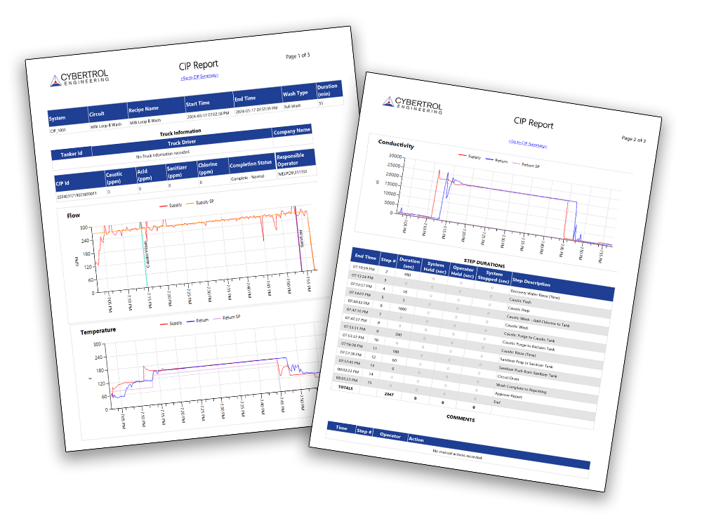 CIP-Details-Report-for-Web-3