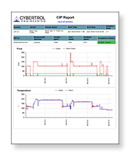 Cybertrol CIP Report Example