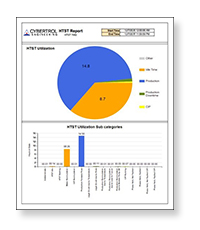 Cybertrol HTST Report Example